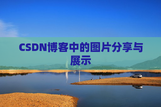 CSDN博客中的图片分享与展示